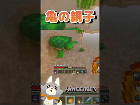 thumbnail_JhUvv_BhAFY