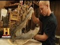 Taxidermy Techniques and Experiences