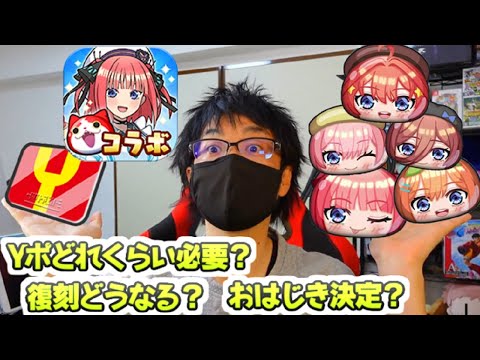 ぷにぷに 五等分の花嫁コラボにYポイント準備どれくらいすればいい？復刻はどうなる！？　妖怪ウォッチぷにぷに　まもさん