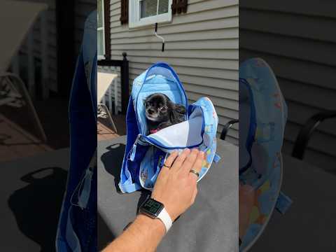 BLUEY BACKPACK PUDDIN 😱❤️