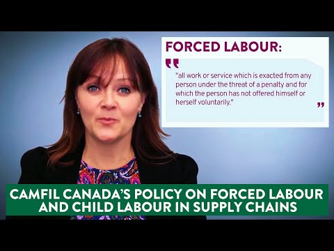 Camfil Canada's Policy on Fighting Against Forced Labour and Child Labour in Supply Chains