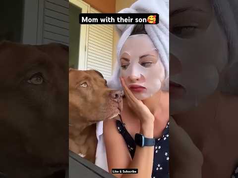 Mom and son same same #funny #comedy #pitbull #dog #makeup #shorts #bts #cartoon