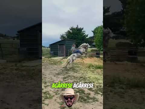 Gente de a caballo 🐴 🙌🏻 #horse #ranchlife #rodeo #viral #musica