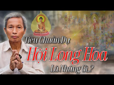 Chú Ba Bình Dân 28/12 Trao Đổi Chia Sẻ Tiêu Chuẩn Dự HỘI LONG HOA | Hà Văn Vàng Official