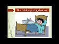 Bacterial Diseases and Their Characteristics