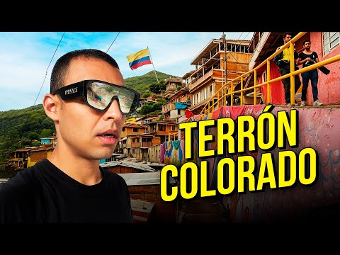 CALI 🇨🇴 | TERRÓN COLORADO: ¿Es Tan Peligroso Como Dicen?