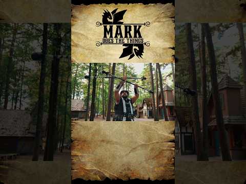 if you've got two hands, why only use one staff? #flowarts #contactstaff #renfaire #cirque #fyp