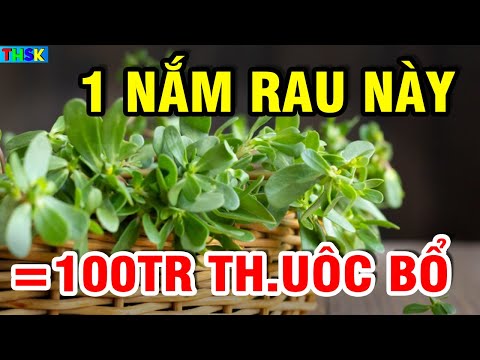 Chỉ Cần Bỏ Ra 2000đ Ăn RAU NÀY, TB U.NG TH.Ư TIÊU BIẾN, Hồi Sinh G.AN TH.ẬN?| THSK