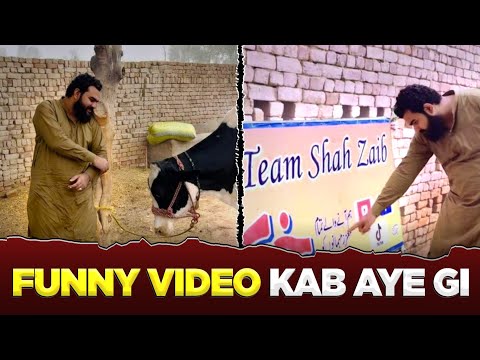 Funny Video Kab Aye gii💙✅