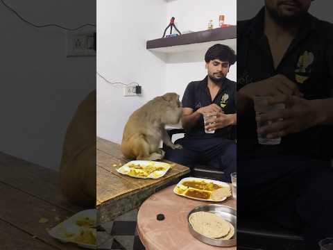 monkey rani ki jaberjast funny video 🤣 #youtubeshorts #shorts #ranivlogrbl