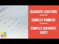 Understanding Quadratic Equations and Discriminants