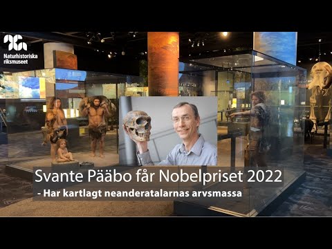 Varför får Svante Pääbo Nobelpriset?
