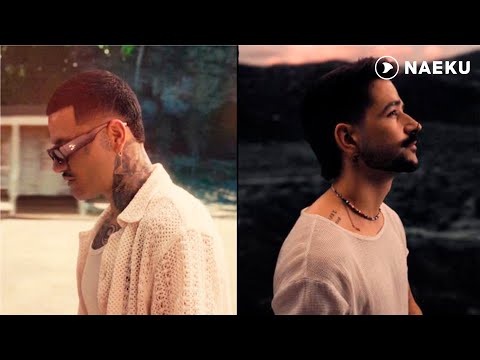 ESTA ES TU CASA NENA - Kapo x Camilo  (Video Oficial)
