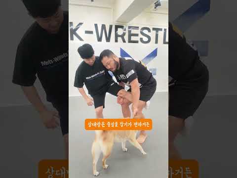 레슬링 기술 <strong>인사이드</strong> 태클 잘하는 방법