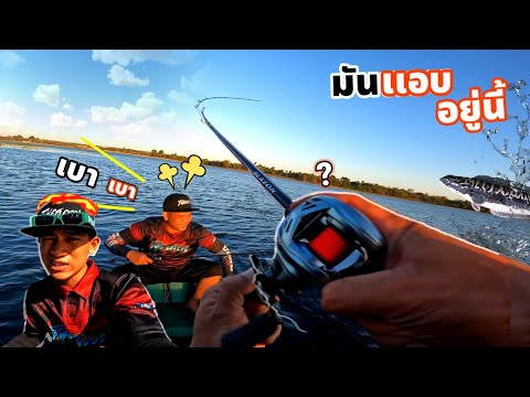 ออกหมายตกชะโดหมายใหม่ชะโดแค่เนี้ย! The สกาย ออกหมายตกชะโดหมายใหม่ชะโดแค่เนี้ย!