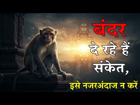 अगर घर के पास बंदर दिखें तो समझिए ये संकेत है | बंदरों के इन संकेतों को नजरअंदाज ना करें