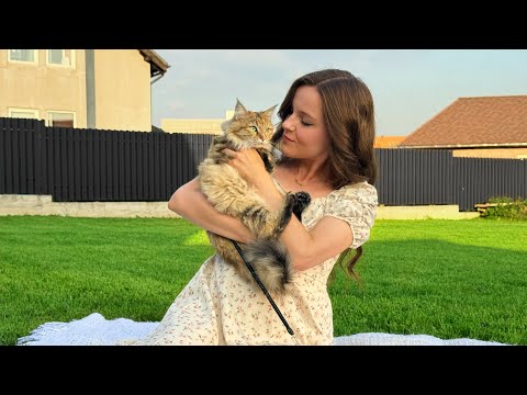 Как у нас появилась кошка?