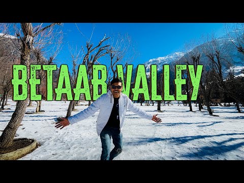 Betaab Valley - Is This the Most Beautiful Place in Kashmir? | Pahalgam to Agra Road Trip