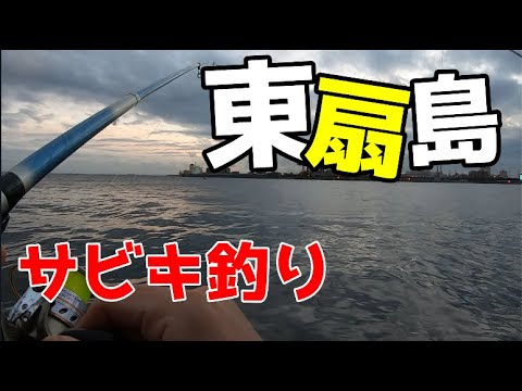 【海釣り】東扇島でサビキ釣りしてみた