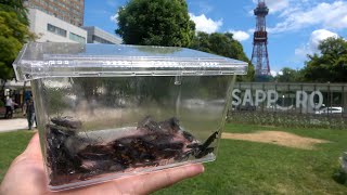 動画サムネイル