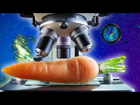 Carrot Under the Microscope: A Sparkling World Revealed