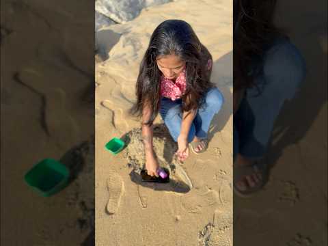 Tom and Jerry🤣 ഐഡിയ ഒക്കെ കൊള്ളാം പക്ഷേ ചീറ്റിപ്പോയി🤣 #comedy #viral #trending #funny #shorts