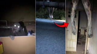 5 Video Paling Horor Yang Merekam Adanya Penampakan Hantu Dan Hal Menyeramkan Yang Beredar Di Medsos
