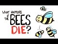 The Importance of Bees and the Impact of Their Decline