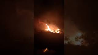 Big fire in the protected forest of Strofilia, Peloponnese Greece