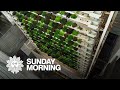 Vertical Farming Industry Insights