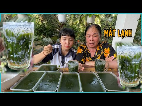 Lá cây Sương sâm Vị thuốc giúp thanh nhiệt giải độc | Cách Vò Lá Sâm Mịn Màng Như Ngoài Hàng