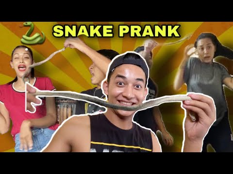 SNAKE PRANK ON MY SISTER 😂 || Akash Thapa ||