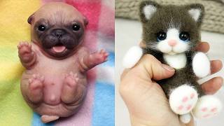 These Cute Baby Animals Will Melt Your Heart