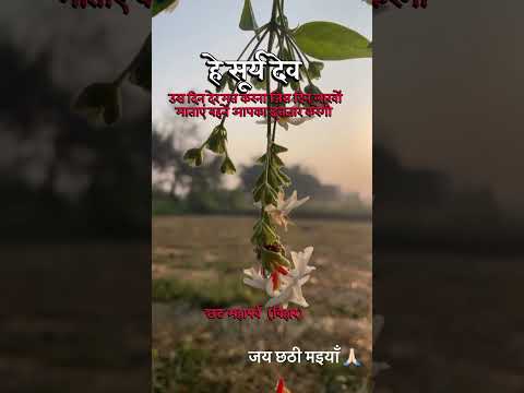 जय छठी मइयाँ 🙏🏻