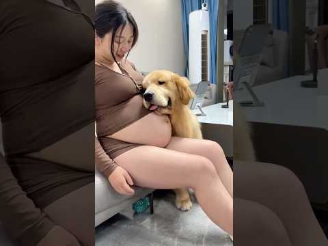 Do you think dogs are loyal to their owners?