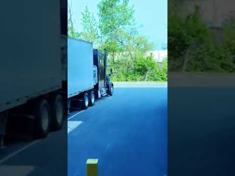 The machine del bacalao pr 💯💯