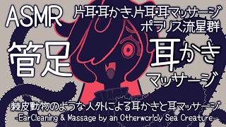 [ASMR] 棘皮動物のような人外による耳かきと耳マッサージ-片耳耳かき、片耳耳マッサージ-#01 [ 声なし | No Talking ]