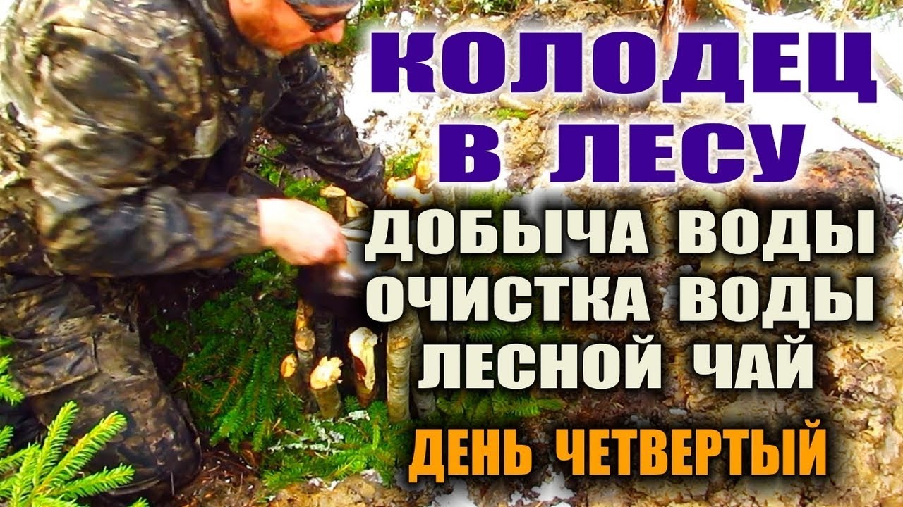 Колодец своими руками в лесу. Чистая вода. Лесной настоящий чай - напиток здоровья и сил.