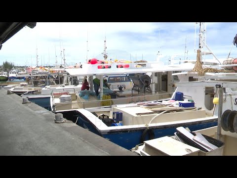 YouTube video thumbnail: Barbados Authorities Seek to Chart Sustainable Future for Fishing Sector