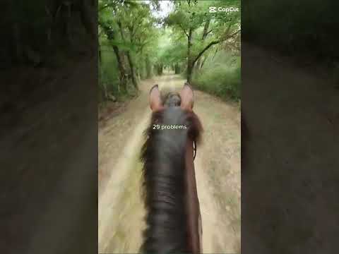 🫶🏻🫶🏻🫶🏻