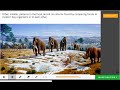 Fossils and Mass Extinction Events