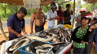 Authentic!! Village Life Through Fish | A Day In The Raw Beauty of Rural Markets