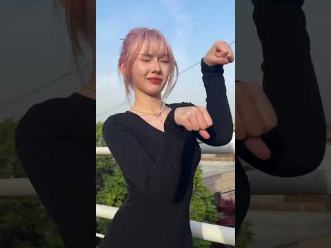 고양이 세마리