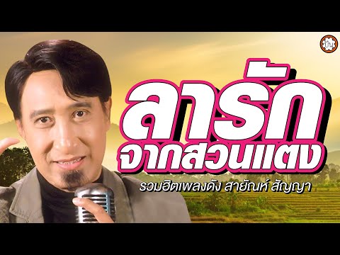 รวมเพลงฮิต สายัณห์ สัญญา เพลงเพราะ ฟังไม่มีเบื่อ #ลารักจากสวนแตง #ไหนว่าจะจำ #ขาดเธอขาดใจ