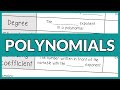 Exploring Adding and Subtracting Polynomials