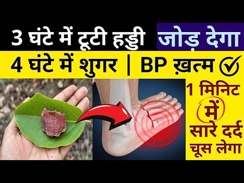 लाखों रुपए खर्च करोगे तो भी जड़ी बूटी की ऐसे जानकारी कोई नहीं बतायेगा?
