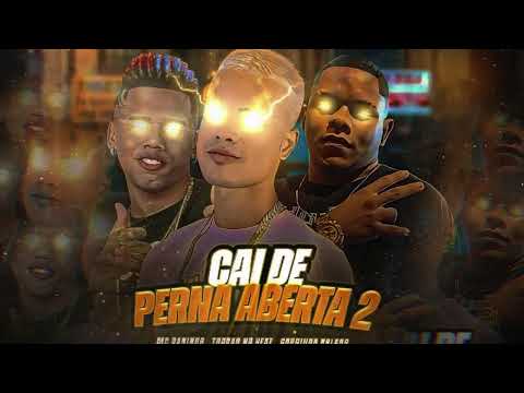 TROVÃO NO BEAT, GORDINHO BOLADO, MC DANINHO - CAI DE PERNA ABERTA 2