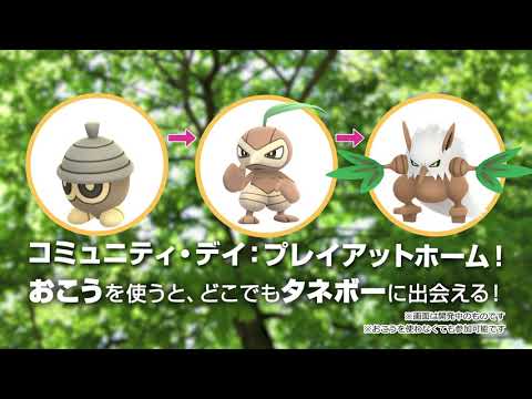 5月の「Pokémon GOコミュニティ・デイ：プレイアットホーム」は「タネボー」が登場します