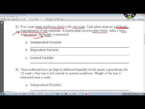 Designing An Experiment Worksheet Key, Jobs EcityWorks