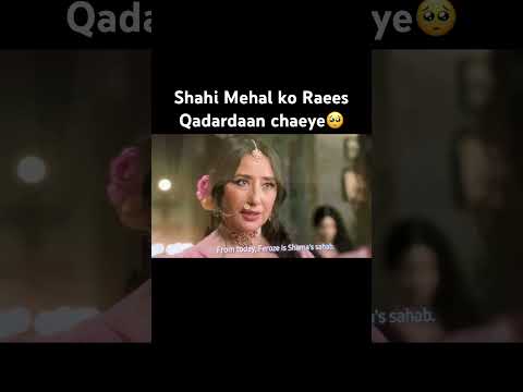 #heeramandi #netflixseries #arydigital #foryou #newvideo #newshorts #sanjayleelabhansali